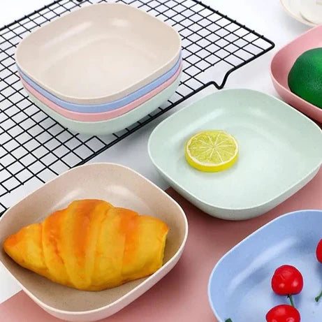 10 Pcs Set of Dish Plates with Free Holder